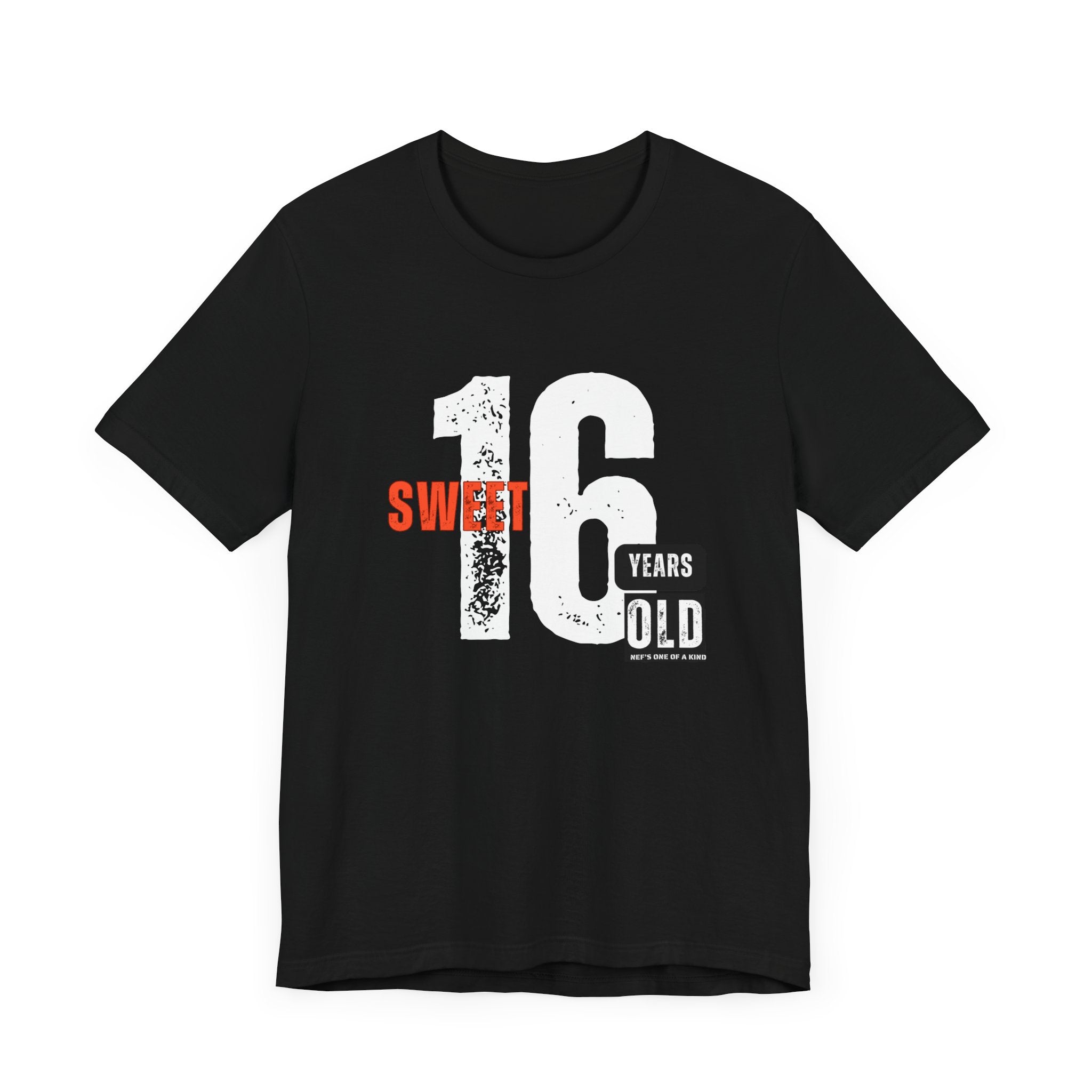 16year Old Unisex Adult Tee